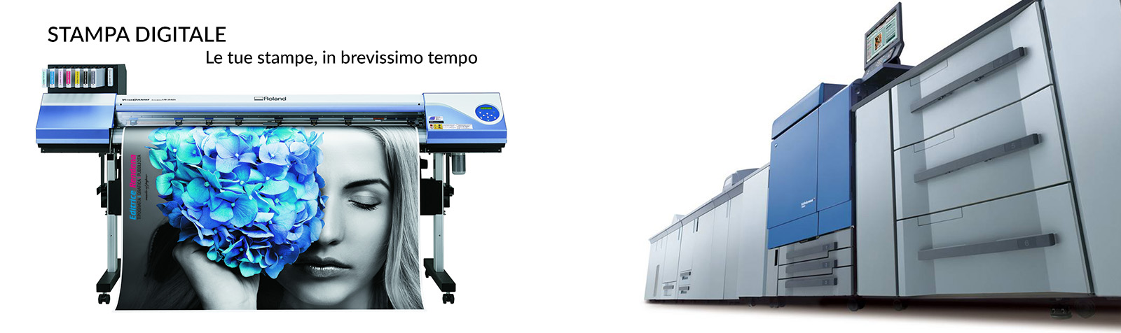 stampa.jpg
